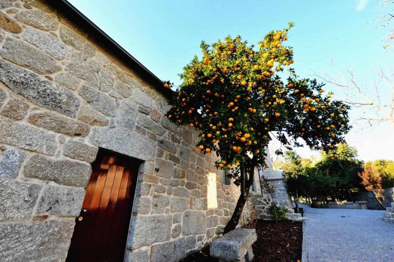 Casas Do Ermo Ermo Villas Fafe Εξωτερικό φωτογραφία